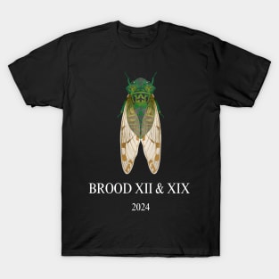 Cicada Brood XIII & XIX 2024 T-Shirt